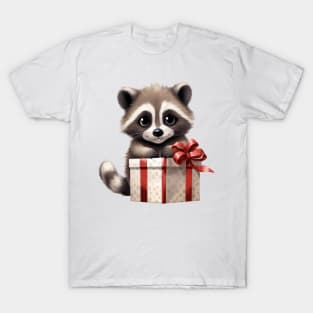 Baby Christmas Raccoon With Gift T-Shirt